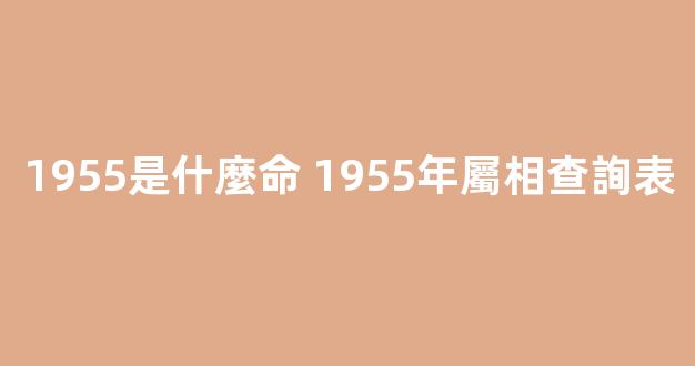 1955是什麼命 1955年屬相查詢表